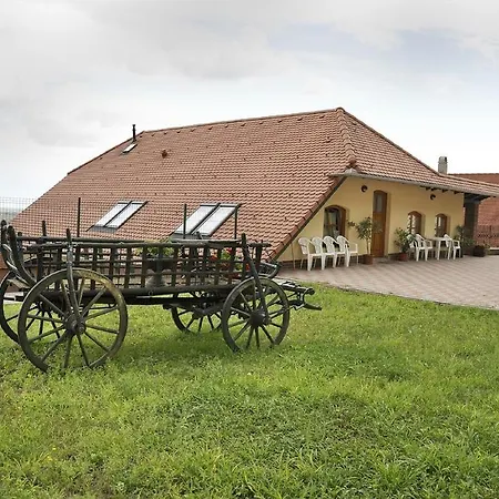 Sarosdi Pince Es Panzio