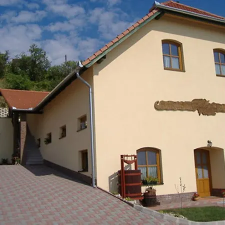 Panzió Sárosdi Pince és