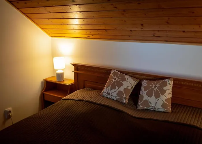 Hotel Sarosdi Pince Es Panzio Szekszárd