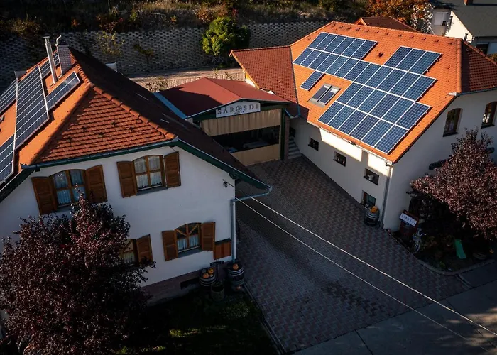 Sarosdi Pince Es Panzio *