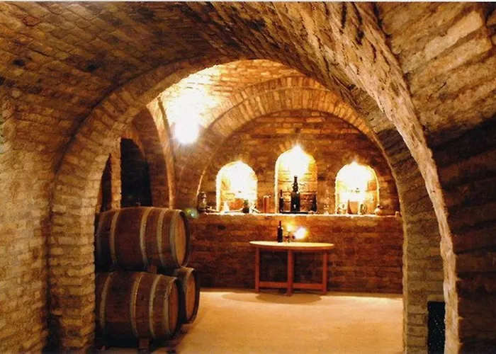 Sarosdi Pince Es Panzio