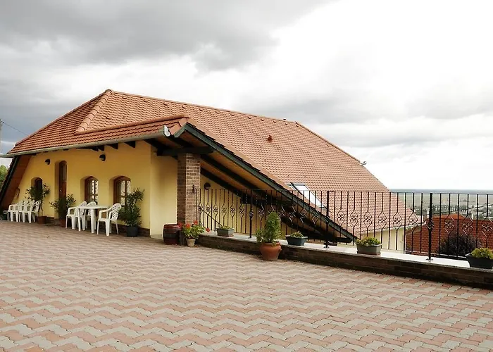 Sarosdi Pince Es Panzio *