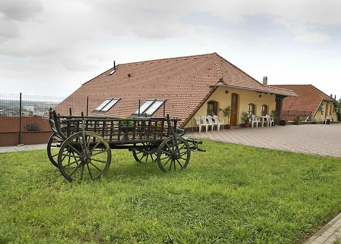 Sarosdi Pince Es Panzio