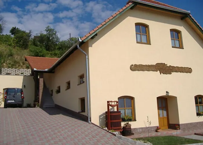 Hotel Sarosdi Pince Es Panzio